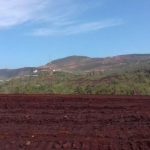 Harita Nickel siapkan penanaman ulang area pertambangan