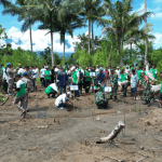 Bersama Unkhair Ternate, Harita Tanam Puluhan Ribu Bibit Mangrove