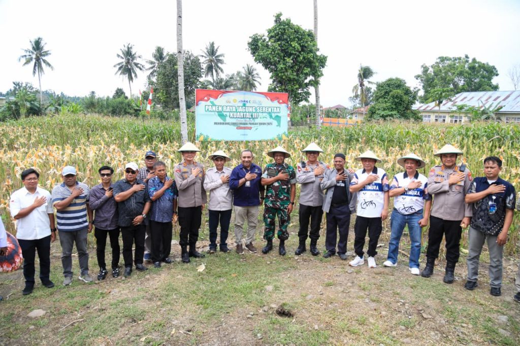 Dukung Swasembada Pangan, Kapolda dan Wagub Malut Panen Jagung Kuartal 3