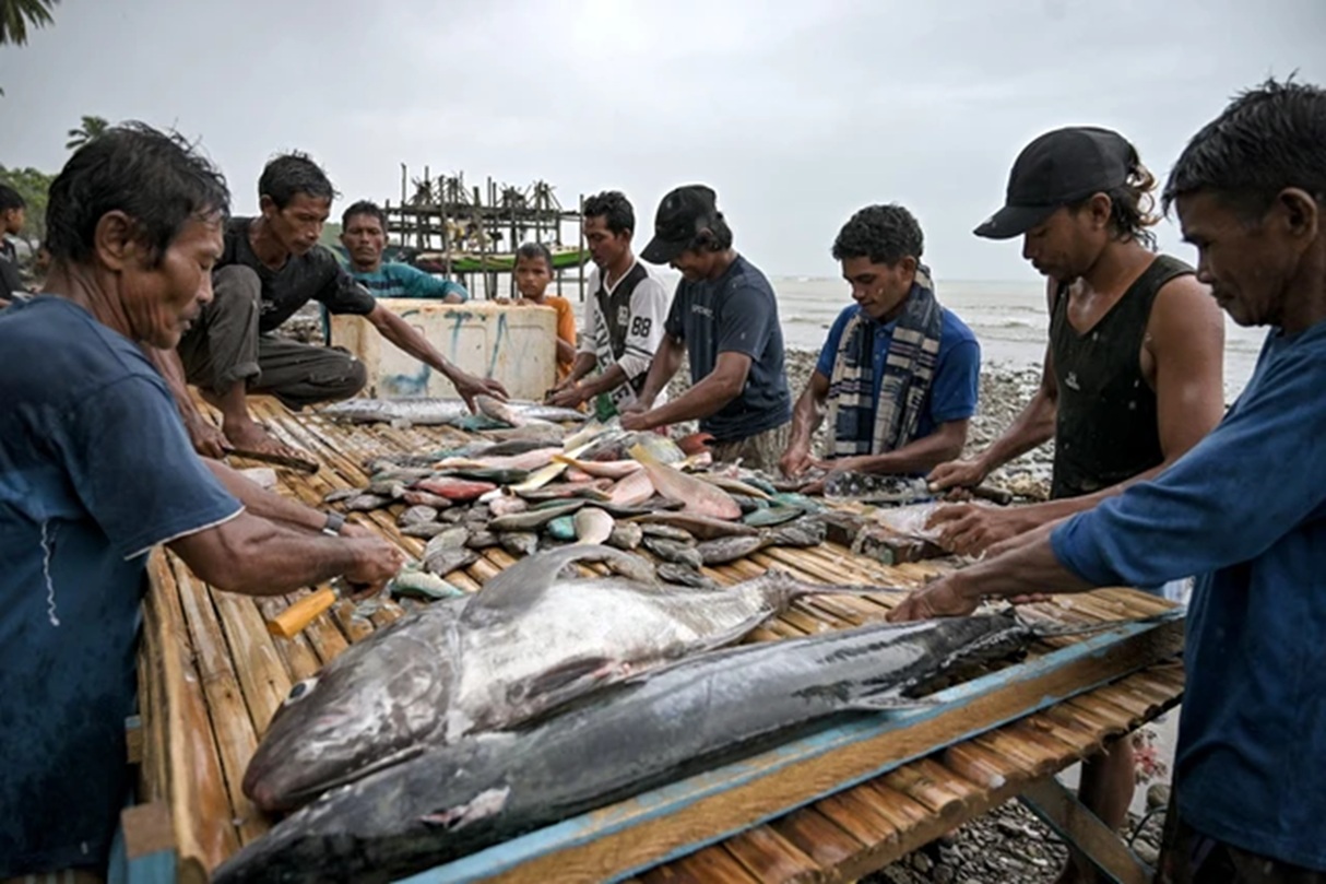 Lebih dari Sekadar Melaut: Nelayan Soligi Bangun Ekonomi Lewat SUTAN